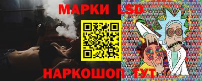 индика Дубна