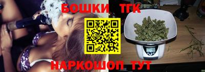 индика Дубна