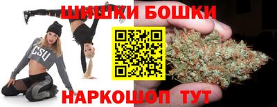 индика Дубна