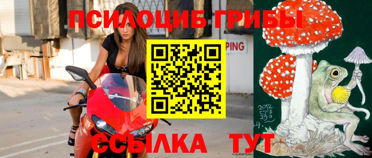 Галлюциногенные грибы Magic Shrooms Малоярославец
