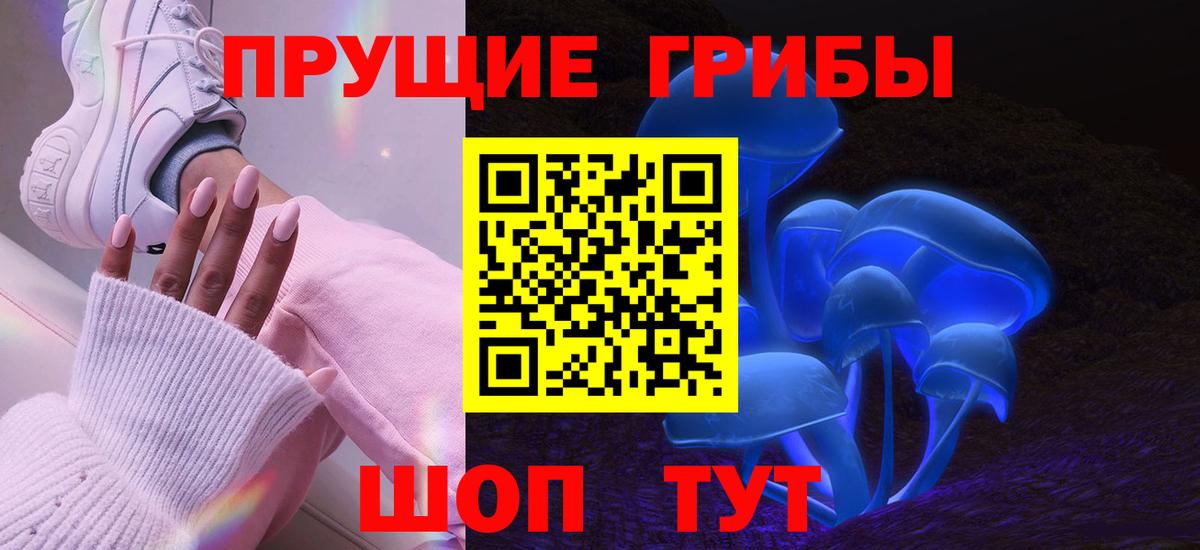 Малоярославец  Галлюциногенные грибы Psilocybe  Вход с VPN 