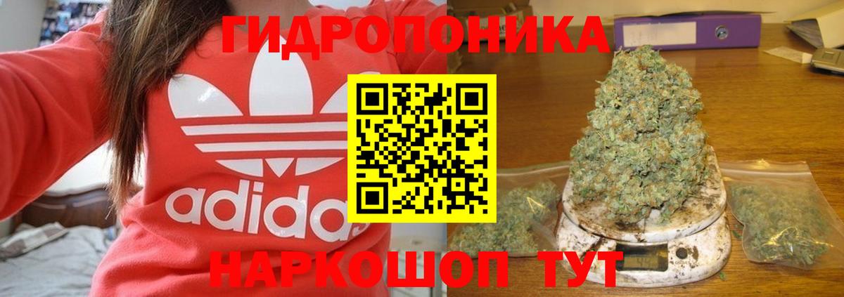 Каннабис планчик  Вход с VPN  Малоярославец  Конопля VHQ  Конопля Amnesia 